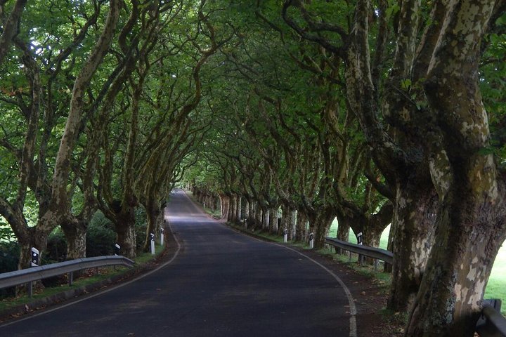 Half Day Terceira Island Tour by 4x4