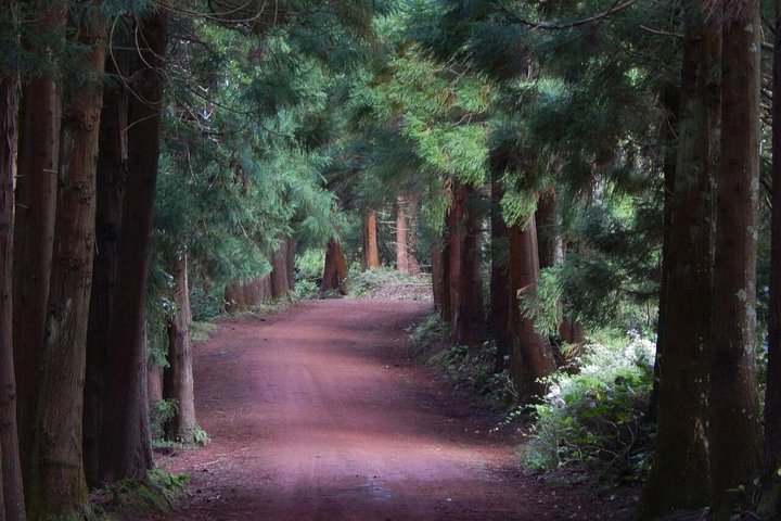 Half Day Terceira Island Tour by 4x4