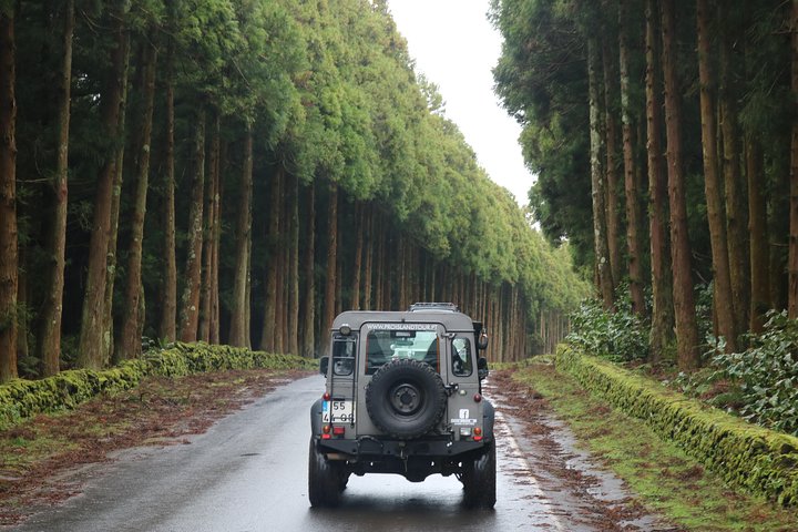 Half Day Terceira Island Tour by 4x4
