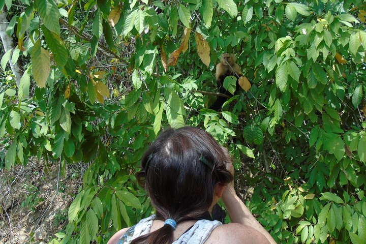 Gatun Lake: Monkeys & Exotic Wildlife by the Canal