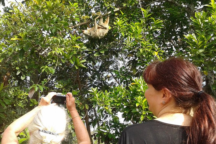 Gatun Lake: Monkeys & Exotic Wildlife by the Canal