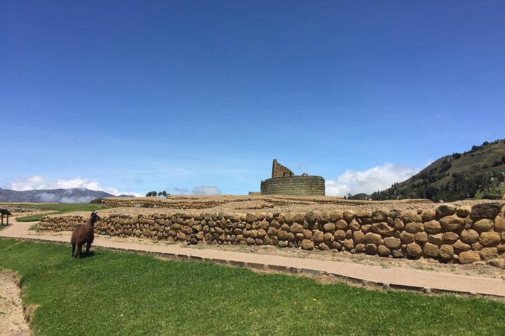 Ingapirca Ruins & Inca mountain face tour from Cuenca with Small Group