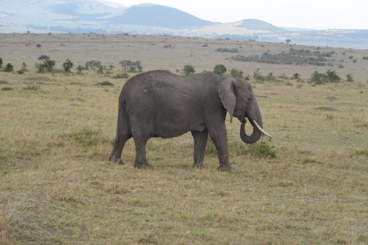 Tsavo National Park Small group Day trip