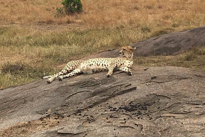 Tsavo National Park Small group Day trip