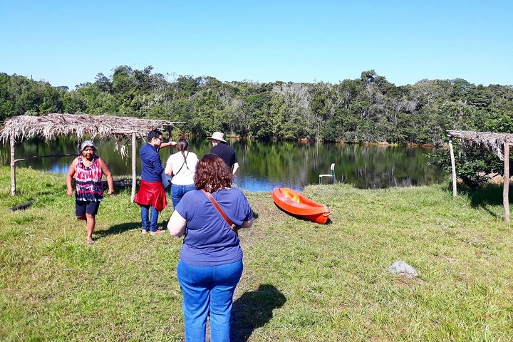 Santos Shore Excursion: Full Day Rain Forest Indian Reservation
