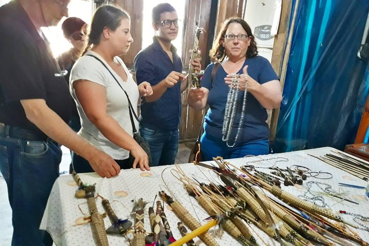 Santos Shore Excursion: Full Day Rain Forest Indian Reservation