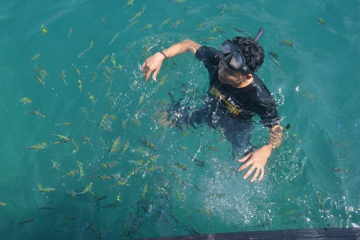 Lanta 4 Islands tour (Longtail boat)