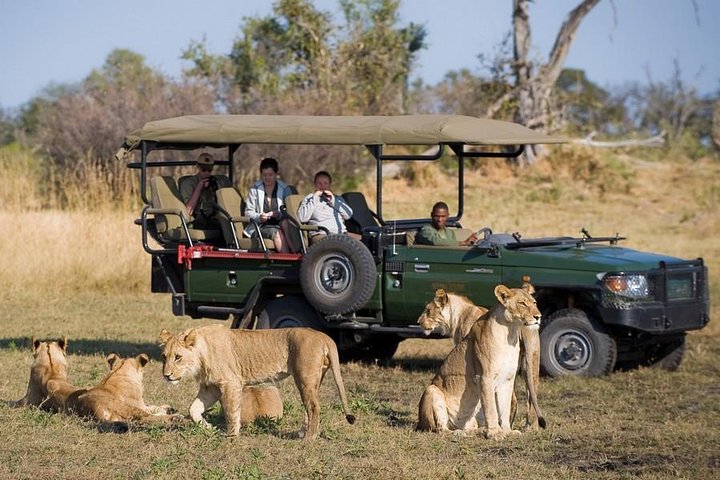 Chobe Full Day Trip From Victoria Falls