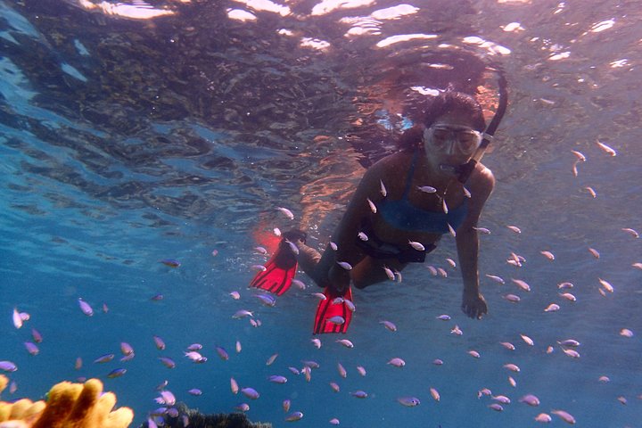 Guam's 5* Guided Snorkeling/Freediving Tour!