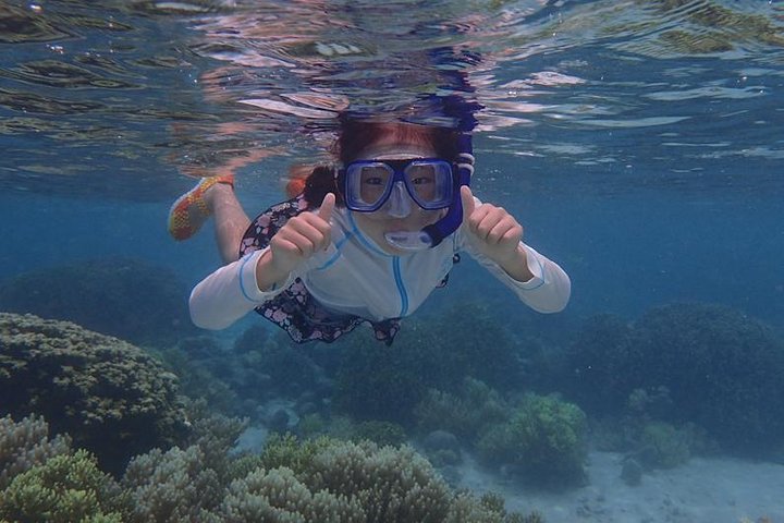 Guam's 5* Guided Snorkeling/Freediving Tour!