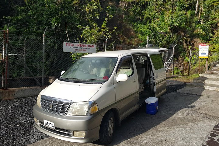 City Tour with Botanical Gardens, Trafalgar Falls & Morne Bruce