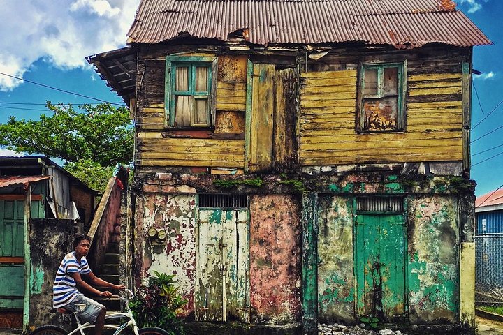 City Tour with Botanical Gardens, Trafalgar Falls & Morne Bruce