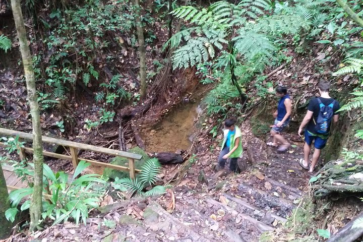 Middleham Falls Hike and Ti'tou Gorge Half-Day Excursion