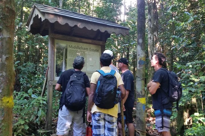Middleham Falls Hike and Ti'tou Gorge Half-Day Excursion