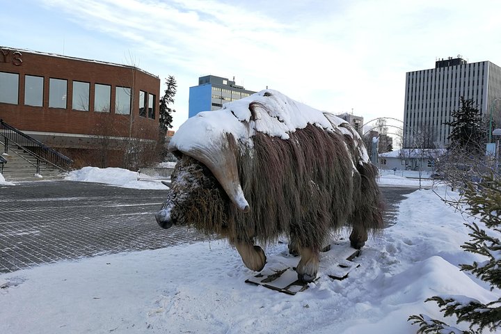 Yellowknife City Tour