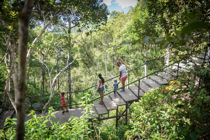 Ebony Forest Reserve Chamarel - Take a Hike Tour