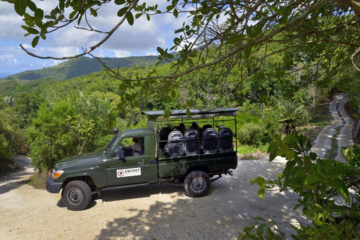 Ebony Forest Reserve Chamarel - Take a Hike Tour