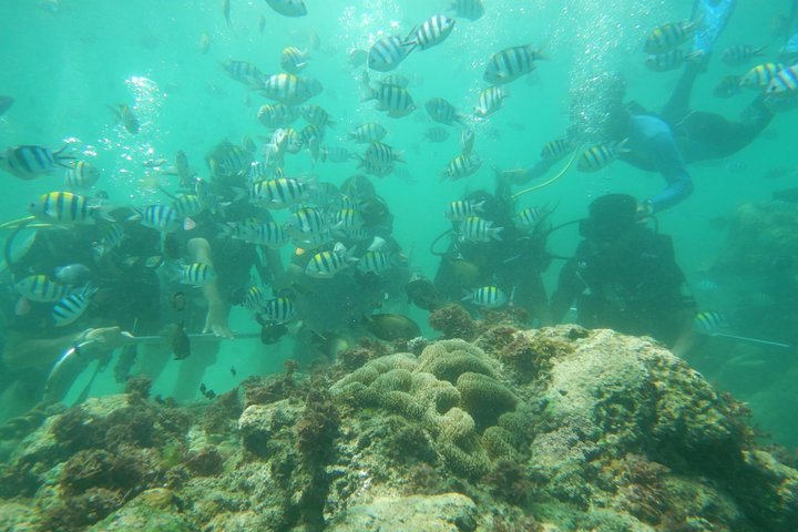 Bali Watersport : Diving, Fly fish, Banana Boat, Parasailing