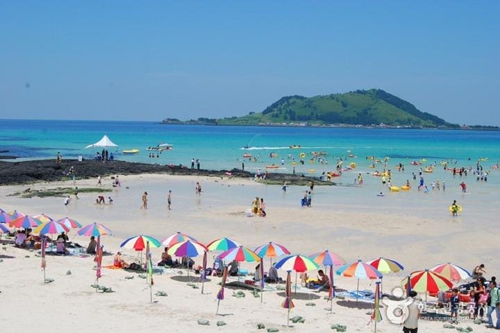 Full Day Essential Jeju Island Private tour for West Course