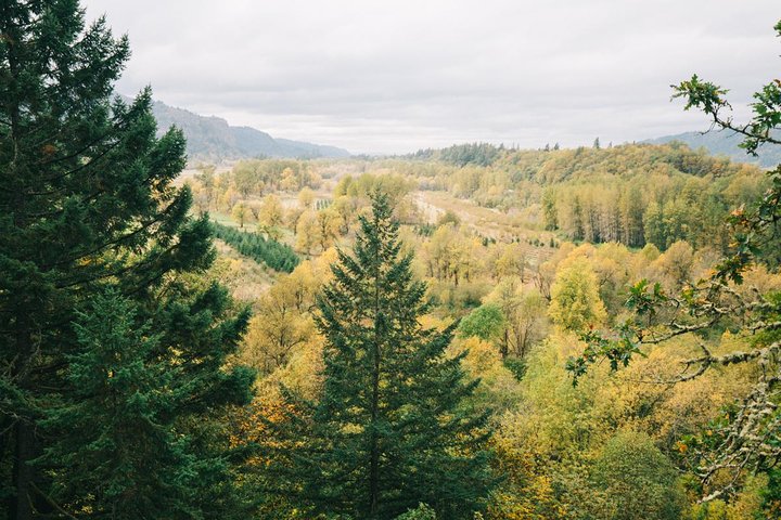 Multnomah Falls and Columbia River Gorge Waterfalls Tour Morning
