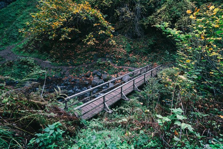 Multnomah Falls and Columbia River Gorge Waterfalls Tour Morning