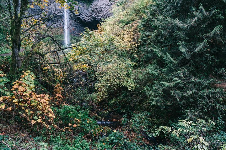 Multnomah Falls and Columbia River Gorge Waterfalls Tour Morning