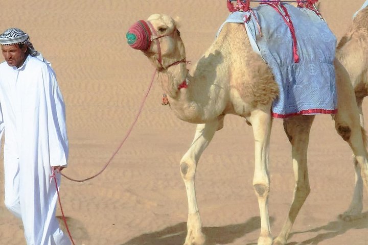 Desert safari, Dune bashing, sandboarding, camel, ATV Option