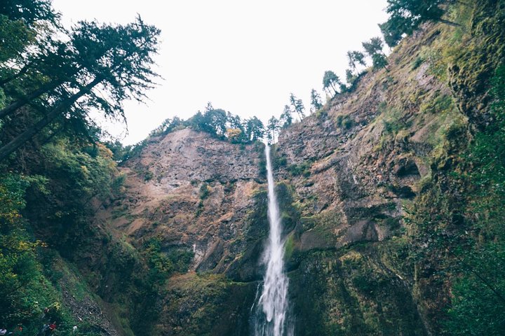 Multnomah Falls and Columbia River Gorge Waterfalls Tour Morning