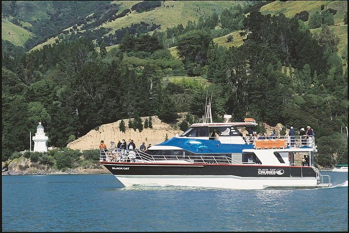 Akaroa Full Day Sightseeing Tour from Christchurch