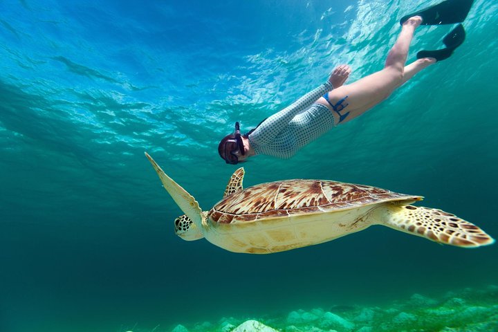 St Thomas~St John Snorkel, Swim & Beach Trip on MV Island Flyer