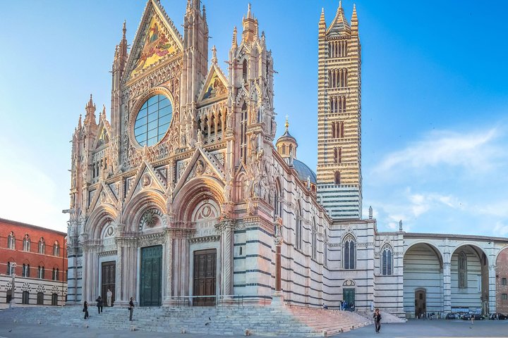 Skip the Line: Siena Duomo and City Walking Tour