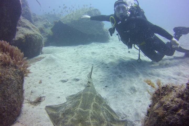Scuba Diving Beginner's Session in Costa Adeje