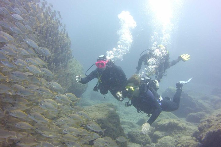 Scuba Diving Beginner's Session in Costa Adeje
