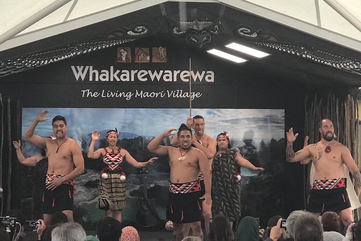 Private, via beaches, Kiwi farm to Rotorua 8 lakes & Geothermal