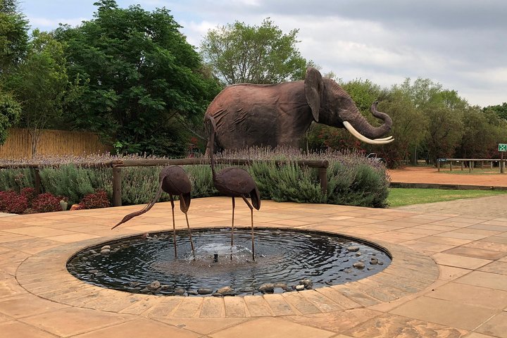 Elephant Sanctuary Tour from Johannesburg