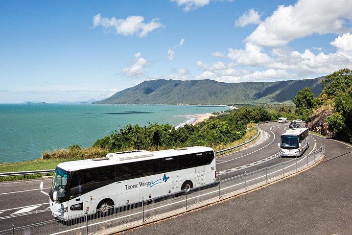 Cape Tribulation & Daintree Wilderness (TCT)
