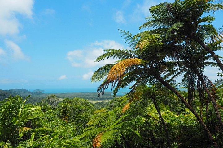 Cape Tribulation & Daintree Wilderness (TCT)