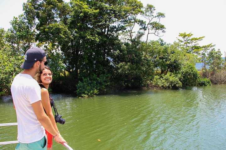 Cape Tribulation & Daintree Wilderness (TCT)