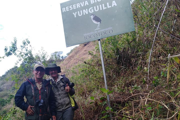 Birdwatching Tour in Giron and Yunguilla Jocotoco Reserve from Cuenca