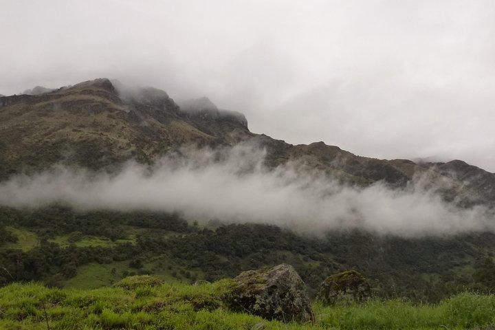 Cajas National Park Half Day Tour from Cuenca