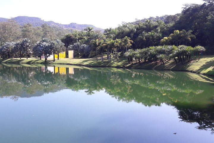 Instituto Inhotim 01 dia