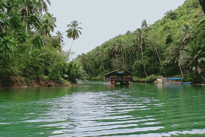 Private Day Trip Cebu to Bohol w/ Chocolate Hills & Loboc Cruise