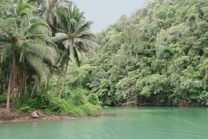 Private Day Trip Cebu to Bohol w/ Chocolate Hills & Loboc Cruise