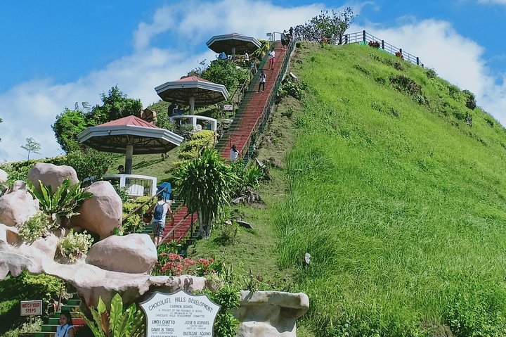 Private Day Trip Cebu to Bohol w/ Chocolate Hills & Loboc Cruise