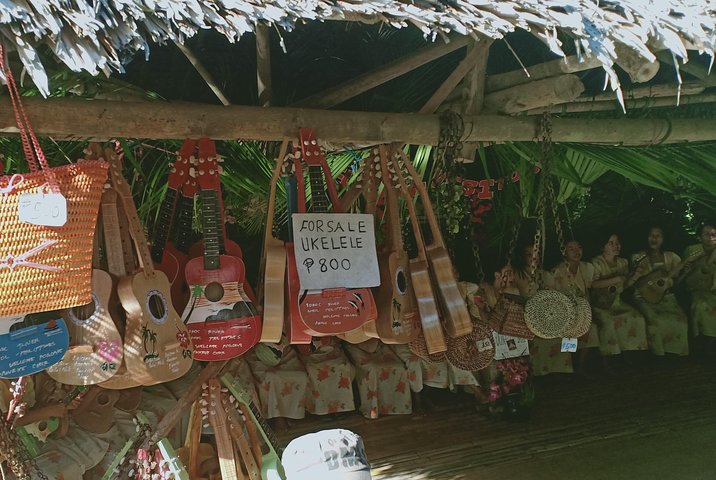 Private Day Trip Cebu to Bohol w/ Chocolate Hills & Loboc Cruise