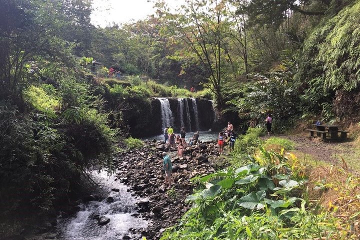 Small-Group Road to Hana Adventure Tour with Pickup & Lunch