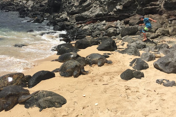 Maui Tour : Road to Hana Day Trip from Lahaina with Pick-up