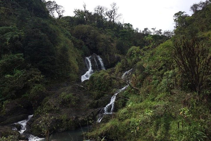 Small-Group Road to Hana Adventure Tour with Pickup & Lunch