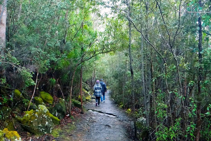 kunanyi/Mt Wellington Explorer Bus- Return Tour (2.5 hours)