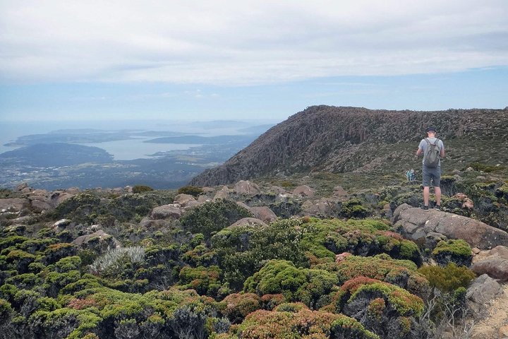 kunanyi/Mt Wellington Explorer Bus- Return Tour (2.5 hours)